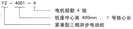 YR系列(H355-1000)高压Y4506-8/315KW三相异步电机西安西玛电机型号说明